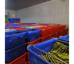 哈尔滨蔬菜保鲜冷库